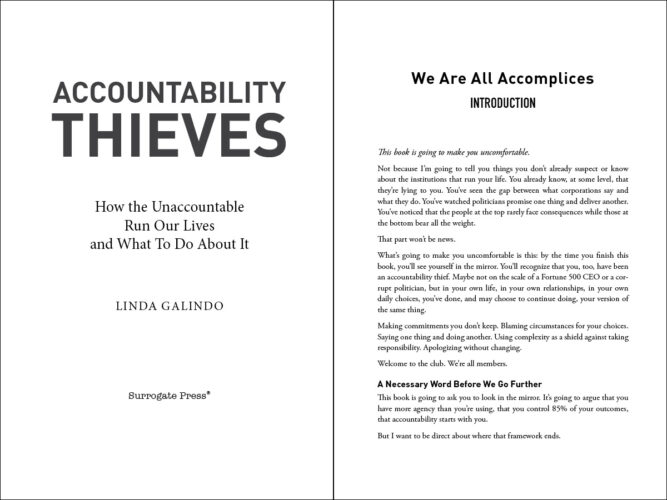 Accountability-Thieves-WEB2