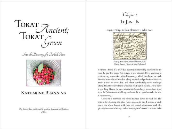 Tokat-Ancient-Interior